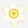 Hand Iced Narcissus December Birth Flower Letterbox Biscuit, thumbnail 2 of 5