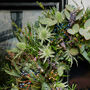 Pre Order Tangled Garden Door Wreath, thumbnail 2 of 3