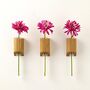 Solid Oak Wall Mounted Stem Vase – Single, Pair Or Trio, thumbnail 5 of 8