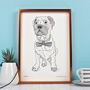 Personalised Pet Portrait Line Drawings, thumbnail 7 of 11