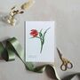 Tulip Floral Watercolour Greetings Card, thumbnail 1 of 2