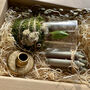 Fresh Hyacinth And Candle Gift Set, thumbnail 6 of 6