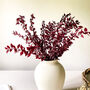 Burgundy Red Ruscus Stems, thumbnail 1 of 6