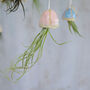 Jellyfish Air Plant Hanging Decorations Stone, thumbnail 7 of 8