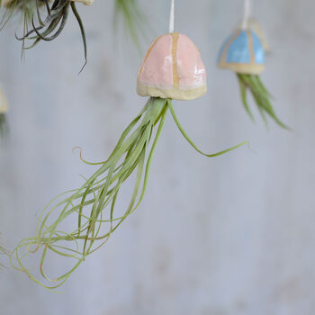 Jellyfish Air Plant Hanging Decorations Stone, 7 of 8