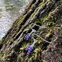 Lavender Flower Purple Drop Earrings, thumbnail 4 of 6
