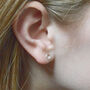 'Beautifully Simple' Sterling Silver Circle Studs, thumbnail 3 of 4