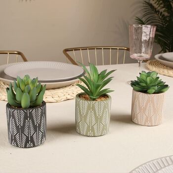 Set Of Three Artificial Succulent Plants In Pot, 5 of 8