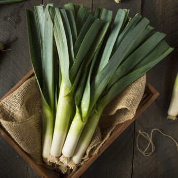 Leek 'Tornado' Six X Plug Plant Pack, 3 of 7