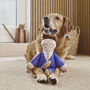 Joe Biden Parody Dog Toy, thumbnail 4 of 9