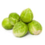 Vegetable Brussels Sprouts 'Trafalgar' 12 X Plant Pack, thumbnail 1 of 5