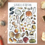 Seashells Of Britain Illustrated Postcard, thumbnail 1 of 10