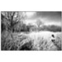 Grass Clearing, Suffolk Photographic Art Print, thumbnail 3 of 4