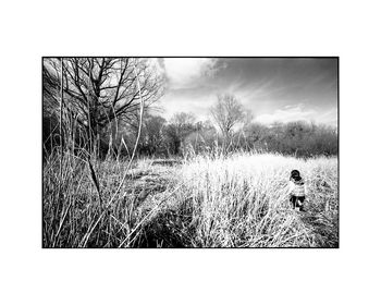 Grass Clearing, Suffolk Photographic Art Print, 3 of 4