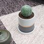 Indoor Grey Ceramic Plants Flower Planter Pot, thumbnail 3 of 9