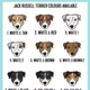 Jack Russell Terrier ID Tag, thumbnail 4 of 5