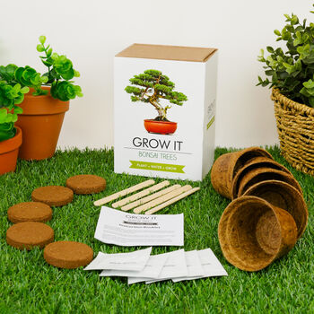 Grow Your Own Bonsai Tree Kit, 2 of 4