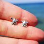 Sterling Silver Turtle Stud Earrings, thumbnail 3 of 12