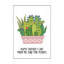 Funny Plant Lover Mother's Day Card, thumbnail 4 of 4