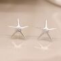 Large Sterling Silver Starfish Stud Earrings, thumbnail 2 of 10