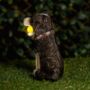 Solar Light Garden Dog Ornament With Tennis Balls LED, thumbnail 3 of 9