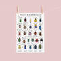 The A To Z Of Beetles Print, thumbnail 2 of 6