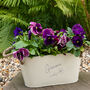 Personalised Flower Planter For Her Birthday, thumbnail 1 of 4