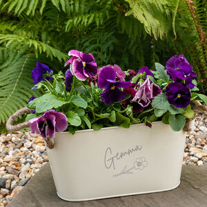 Personalised Plants and Flower Gifts | notonthehighstreet