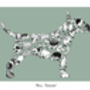 Bull Terrier, thumbnail 2 of 4