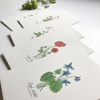 ‘Wood Anemone’ Wildflower Notecard/Greeting Card, 2 of 2