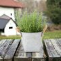 Rosemary Plant In Decorative Heart Tin, thumbnail 1 of 2