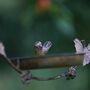 Personalised Round Hanging Garden Bird Feeder, thumbnail 5 of 7