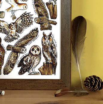Owls Of Britain Wildlife Watercolour Print, 3 of 5