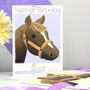 Personalised Pony Horse Birthday Card, thumbnail 1 of 9