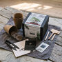 Blue Spruce Bonsai Tree Growing Kit, thumbnail 1 of 11
