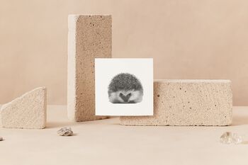 Persei The Luxury Hedgehog Blank Greeting Card, 5 of 7