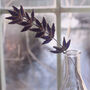 English Lavender Stained Glass Flower, thumbnail 3 of 10
