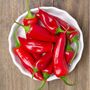 Chilli Plants Hot Burrito Two X 9cm Pots, thumbnail 3 of 5