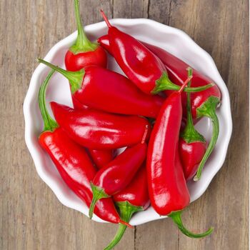 Chilli Plants Hot Burrito Two X 9cm Pots, 3 of 5
