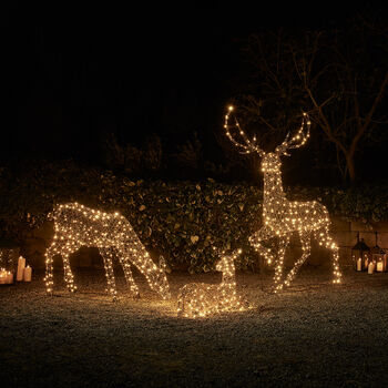 Large Studley Rattan Light Up Reindeer Family, 3 of 3