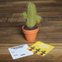 Mini Knitted Cactus In Pot, thumbnail 2 of 9