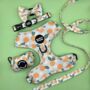 Dog Harness Set | Oranges And Blossoms, thumbnail 1 of 2