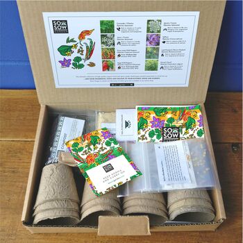 Garden Of India Grow Your Own Kit, 4 of 7