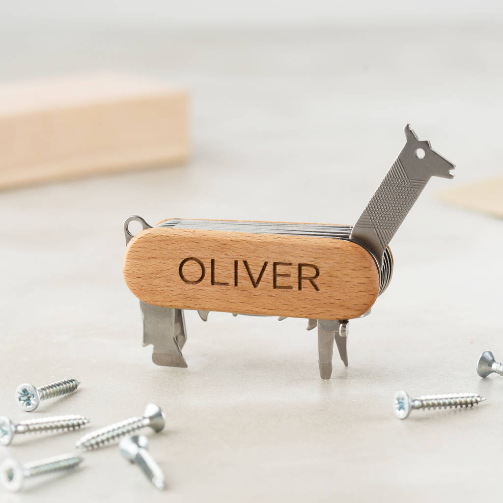 Personalised Father's Day Animal Multi Tool Kit, 1 of 4