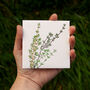 Teim Welsh Greeting Card With Thyme Seeds, thumbnail 3 of 5