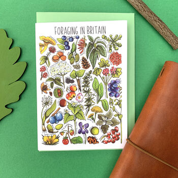 Foraging Plants Of Britain Greeting Card, 7 of 7