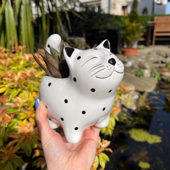 Ceramic Cat Small Planter, 10 of 10