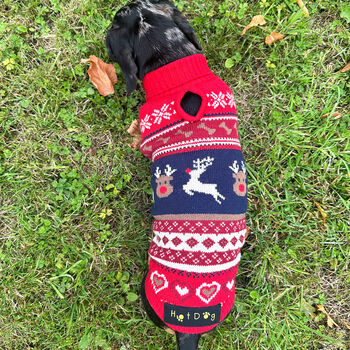 Christmas Red Fairisle Miniature Dachshund Jumper, 3 of 4