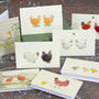 Boxed Collection Of Chicken Gift Cards, thumbnail 1 of 5