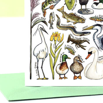 River Wildlife Of Britain Greeting Card, 9 of 9